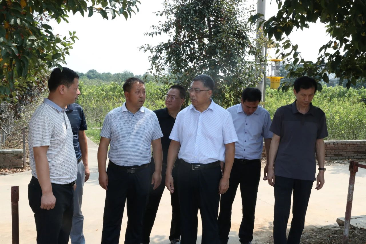 141600047396212068.png image.png