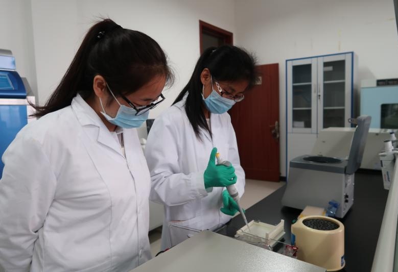 311630380528263691.jpeg 1.jpg