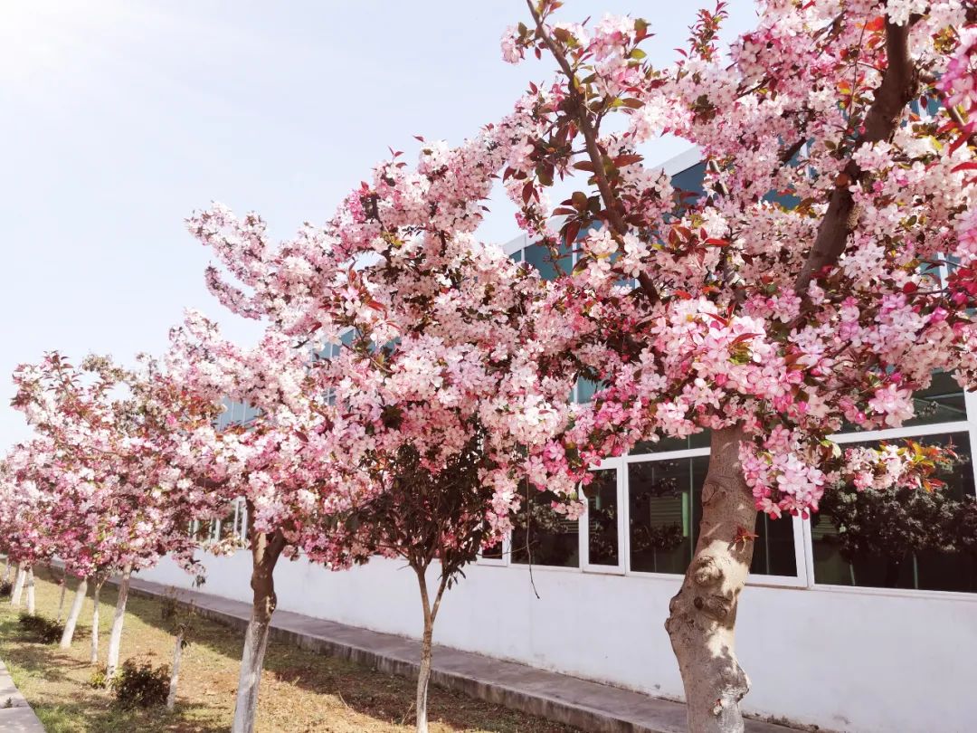 311630394321187628.jpeg 2.jpg