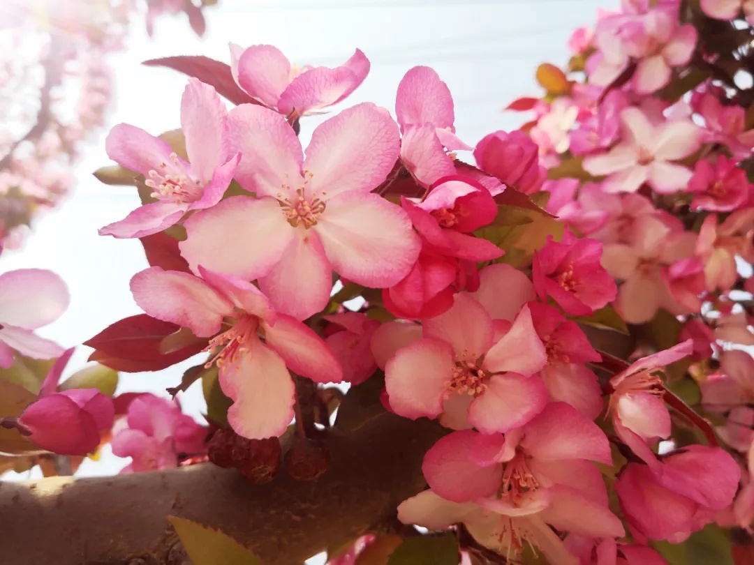 311630394350166053.jpeg 3.jpg