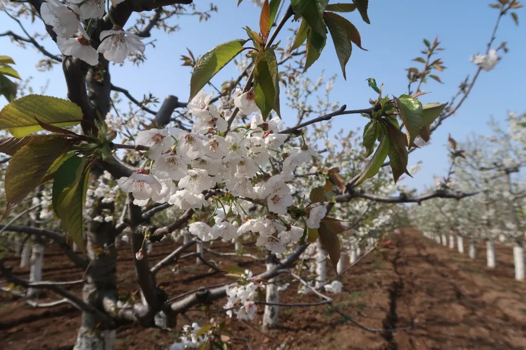 311630394485467988.jpeg 5.jpg