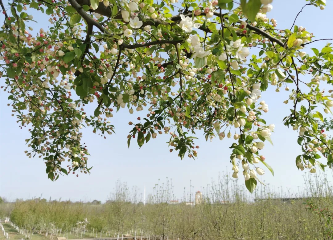 311630394532489736.jpeg 6.jpg