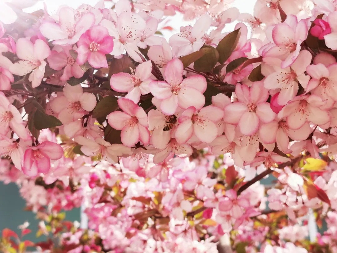 311630394568164958.jpeg 7.jpg