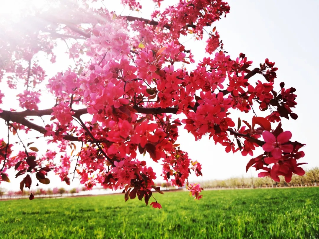 311630394692117599.jpeg 10.jpg