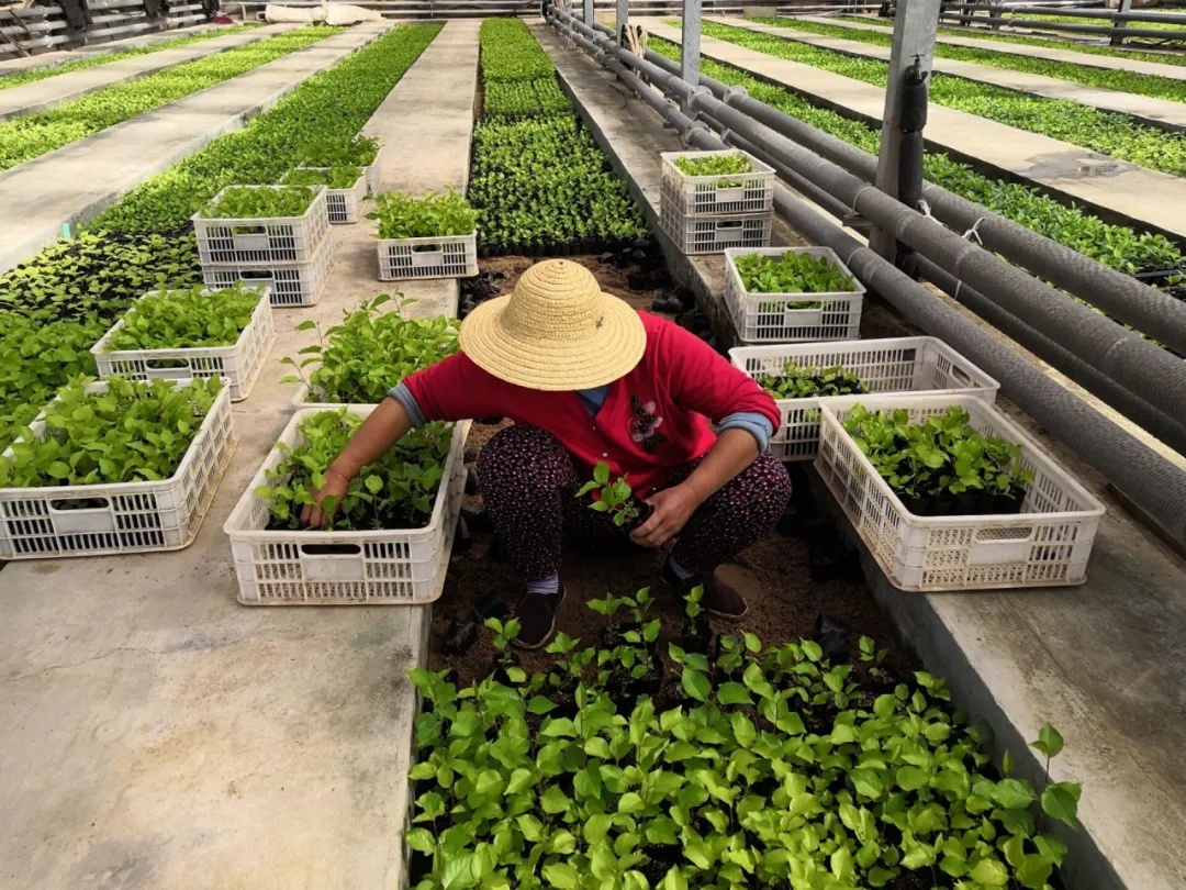 311630394720832846.jpeg 8.jpg