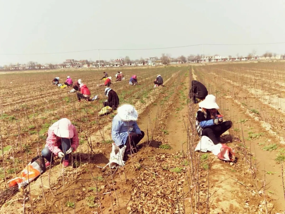 311630394746445809.jpeg 9.jpg