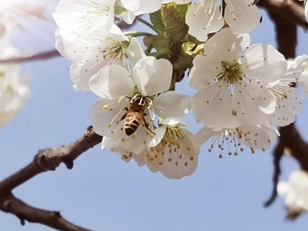 311630395242278907.jpeg 11.jpg