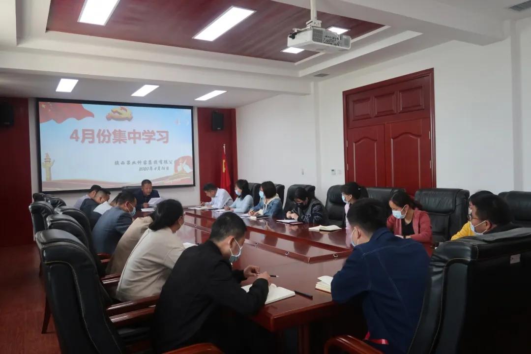 311630396109923015.jpeg d.jpg