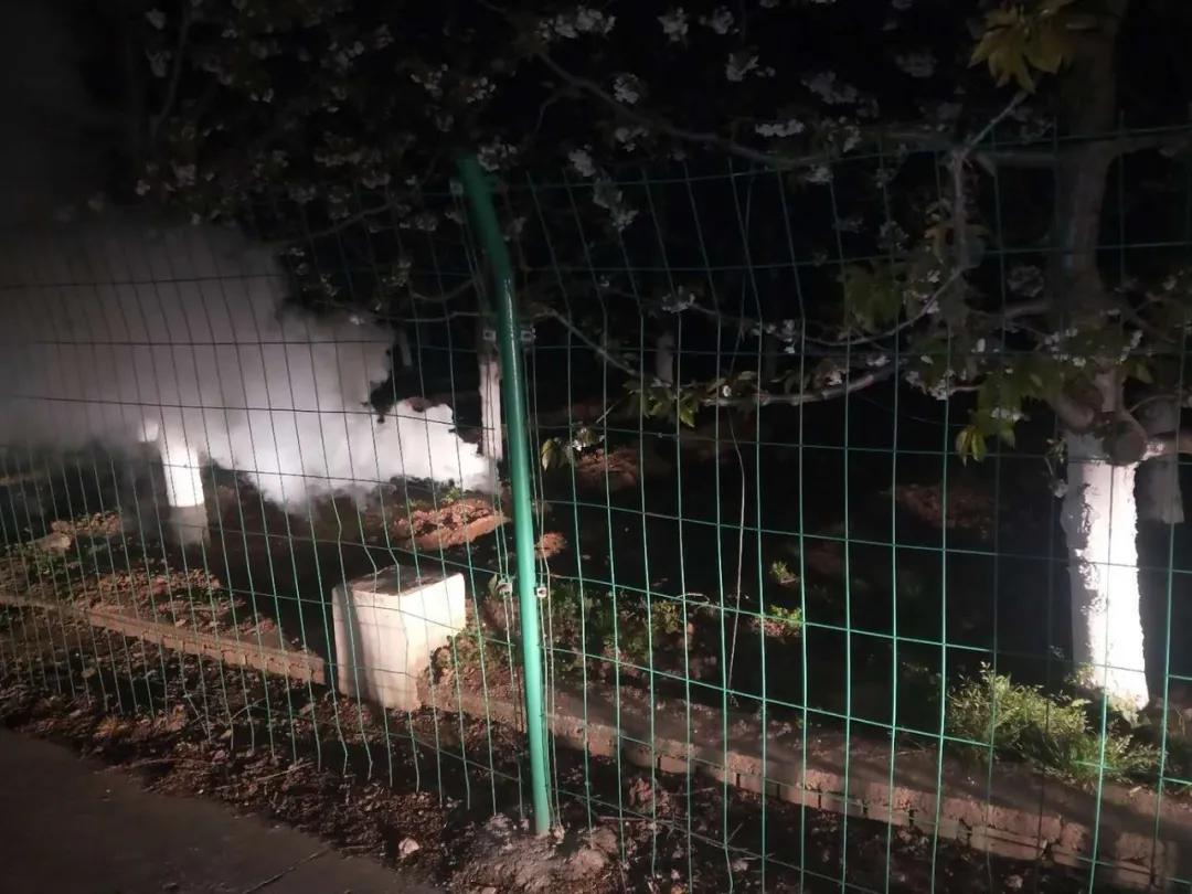 311630396408888049.jpeg f.jpg