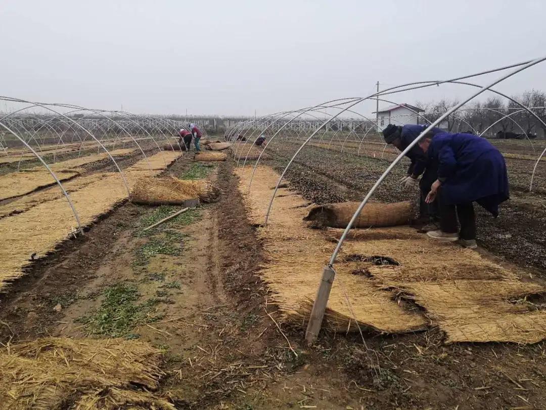 311630396483880804.jpeg g.jpg