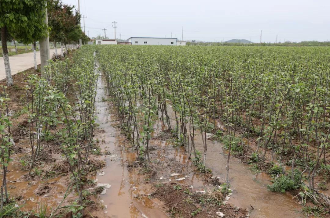 311630396555172256.jpeg h.jpg