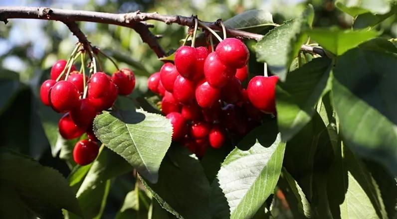 311630397229453416.jpeg 97.jpg