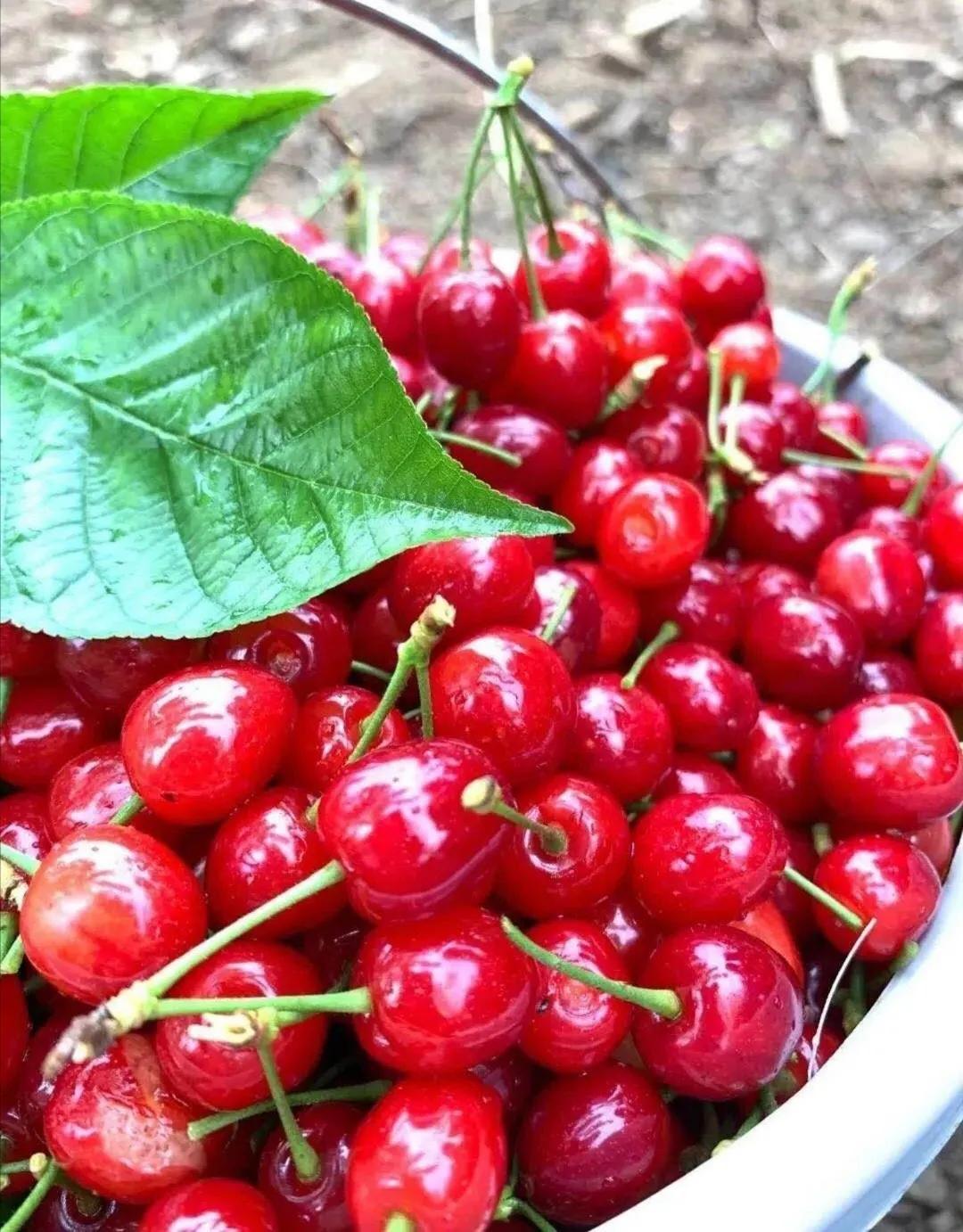 311630397375253883.jpeg 98.jpg