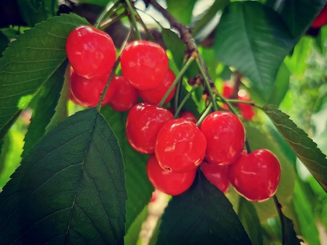 311630397412198647.jpeg 99.jpg