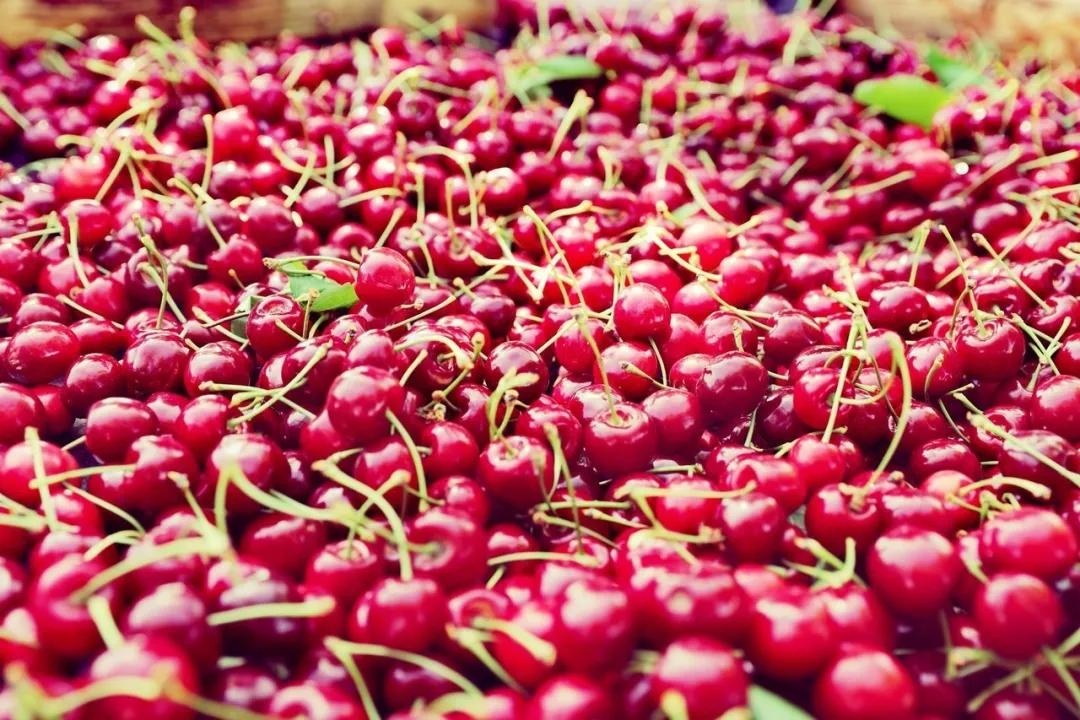 311630397441475323.jpeg 100.jpg