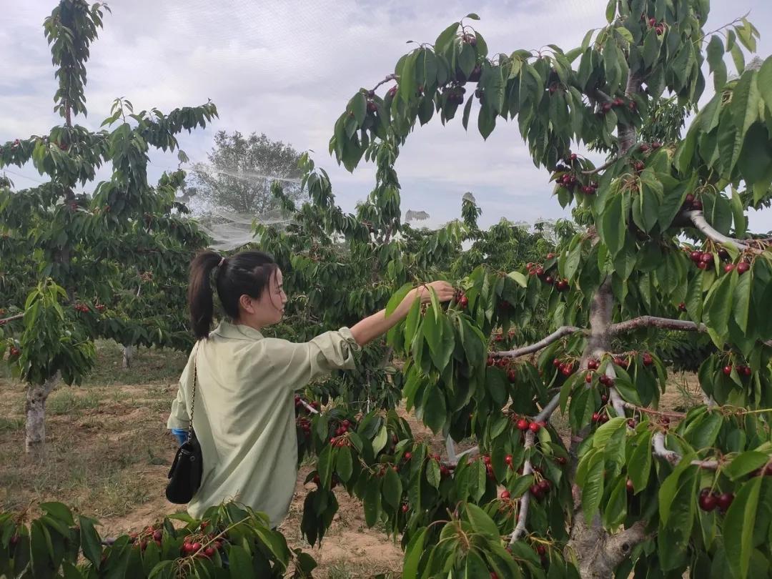 311630398065861628.jpeg 104.jpg