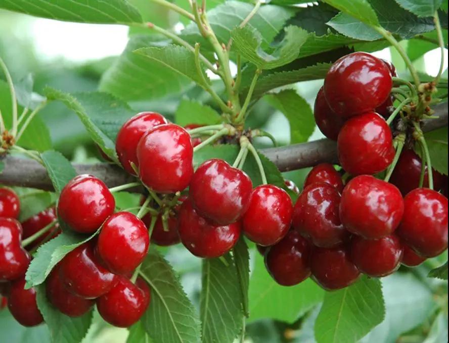 311630398115889063.jpeg 106.jpg