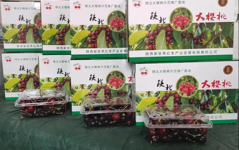 311630398174919687.jpeg 107.jpg