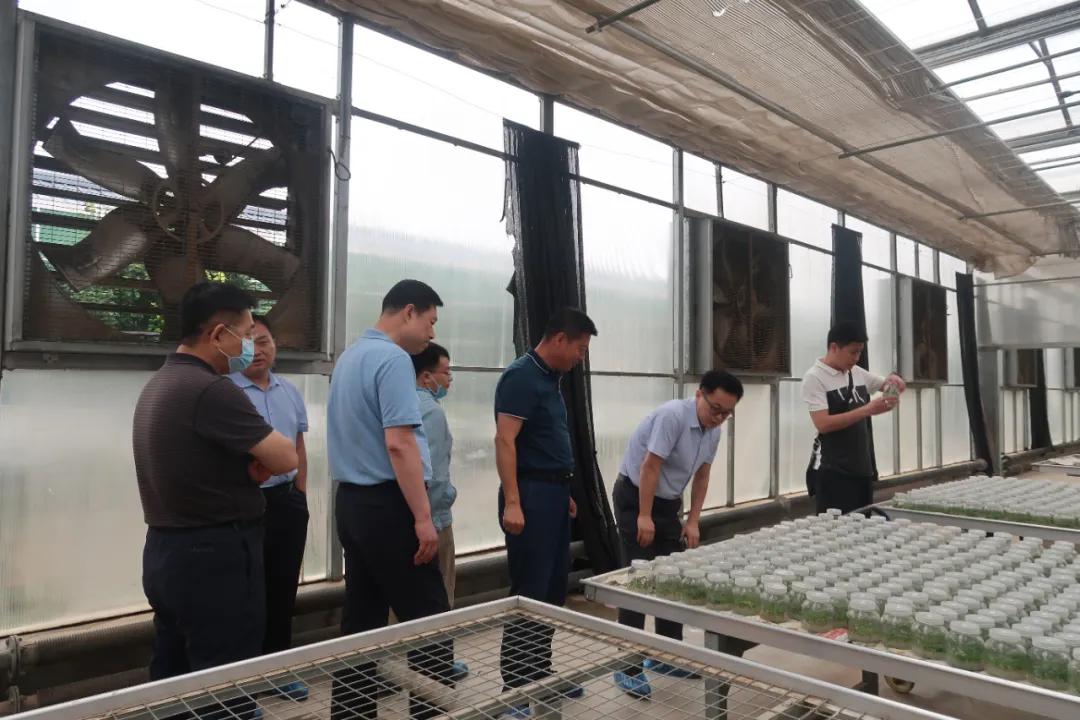 311630398641628264.jpeg 112.jpg