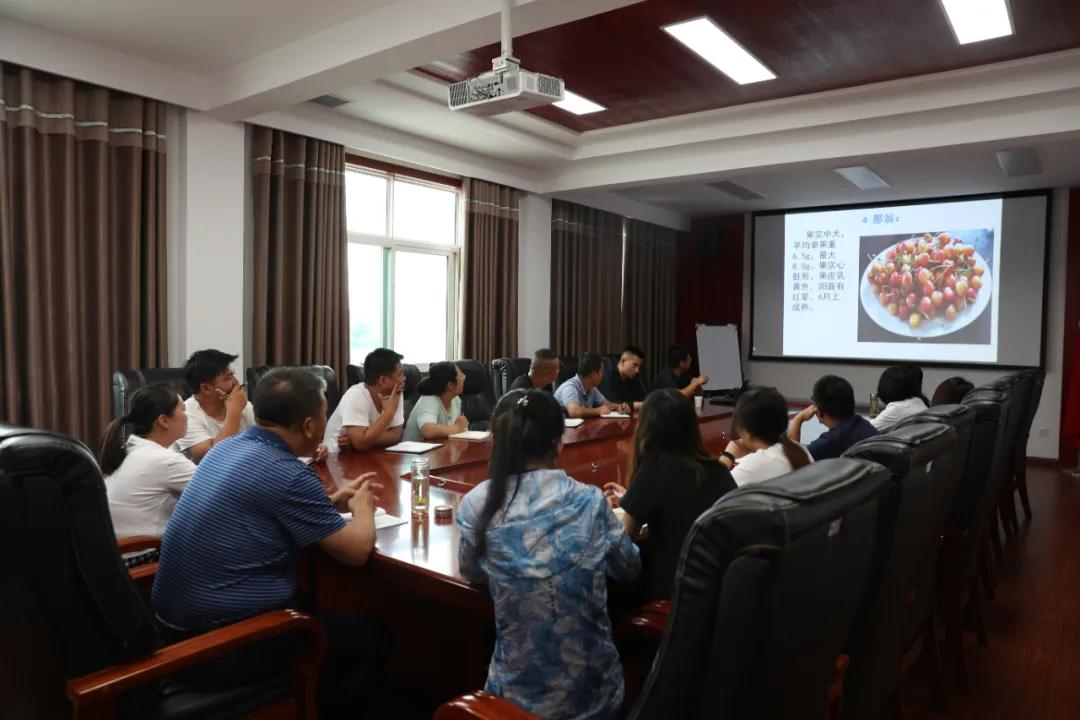 311630400848888855.jpeg 8.jpg