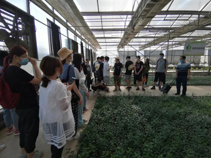 311630401146402052.jpeg 10.jpg