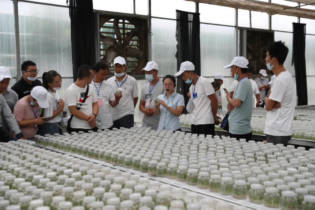 311630401558851825.jpeg 14.jpg