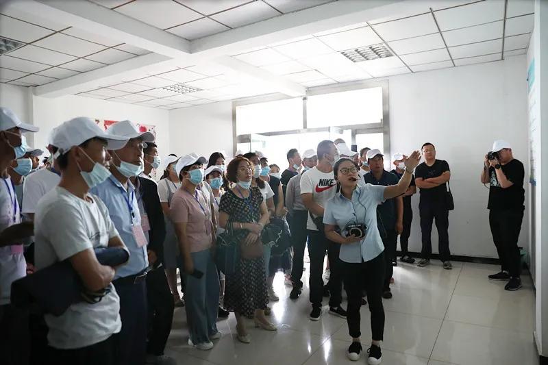 311630401610704688.jpeg 15.jpg