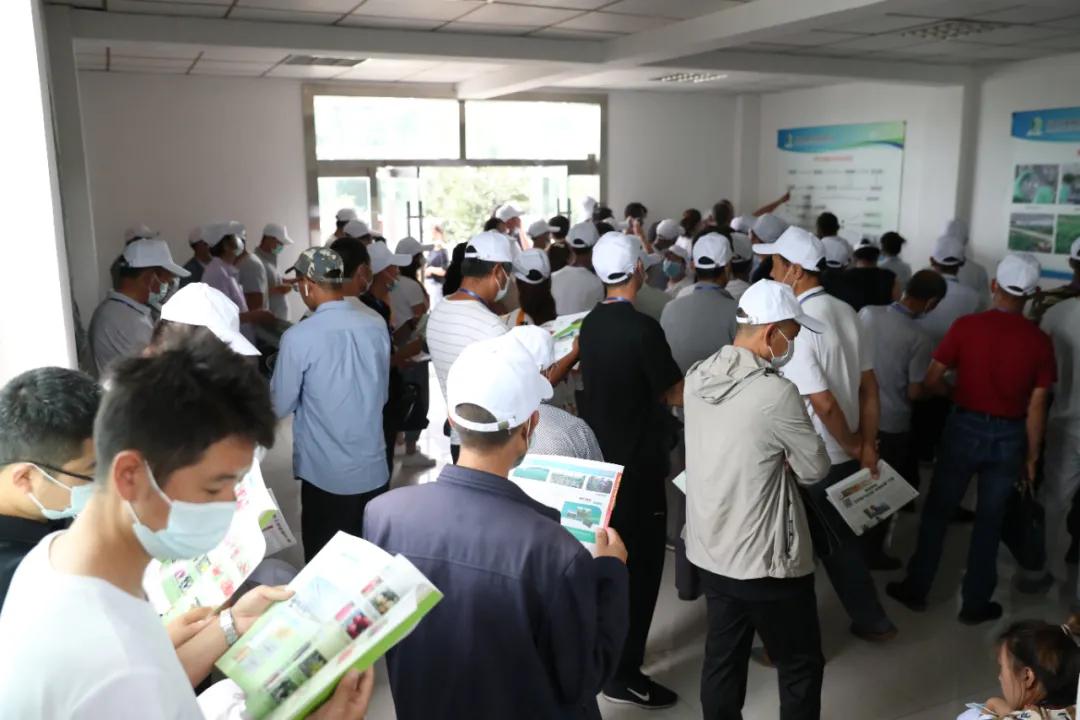 311630401647758062.jpeg 16.jpg