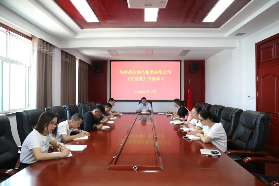 311630401944133389.jpeg 19.jpg