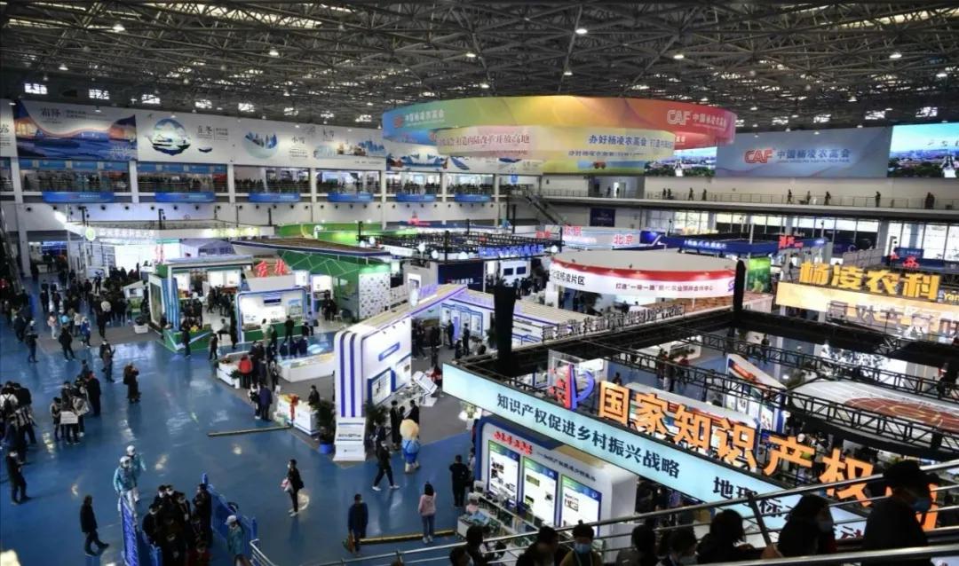 011630456504542164.jpeg 8.jpg