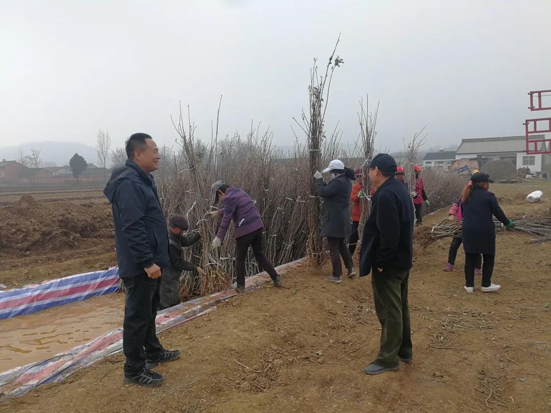 011630457916806276.jpeg e.jpg