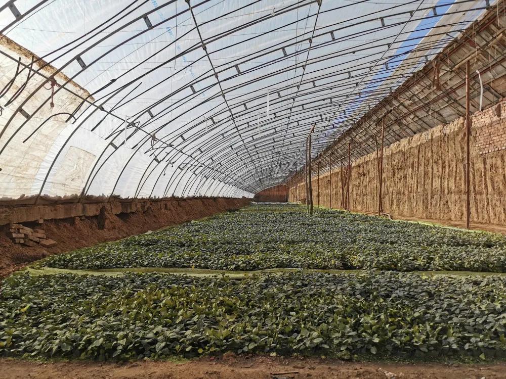 011630460216797636.jpeg 2.jpg