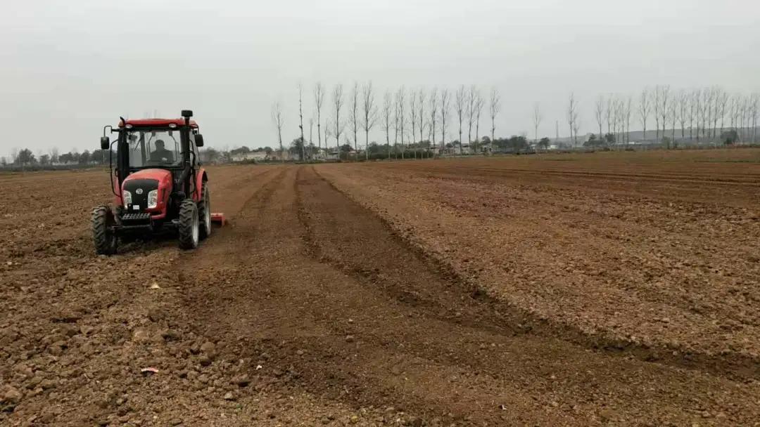 011630460323723353.jpeg 3.jpg