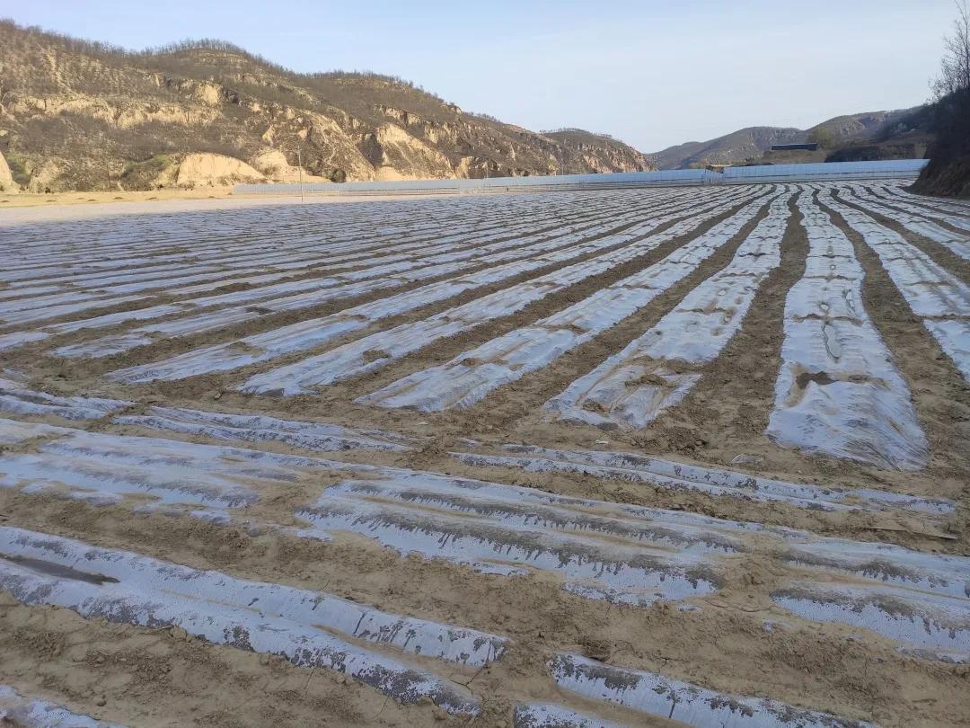 011630460351667054.jpeg 4.jpg