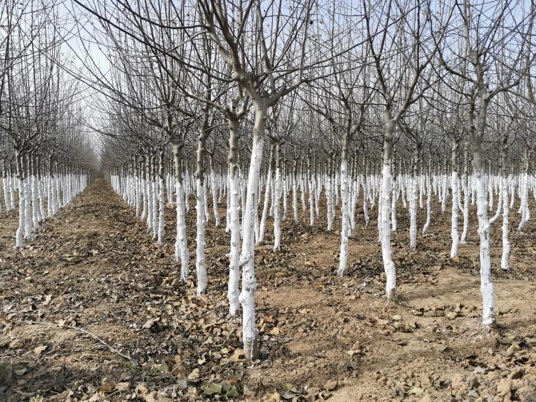 011630460448277149.jpeg 5.jpg