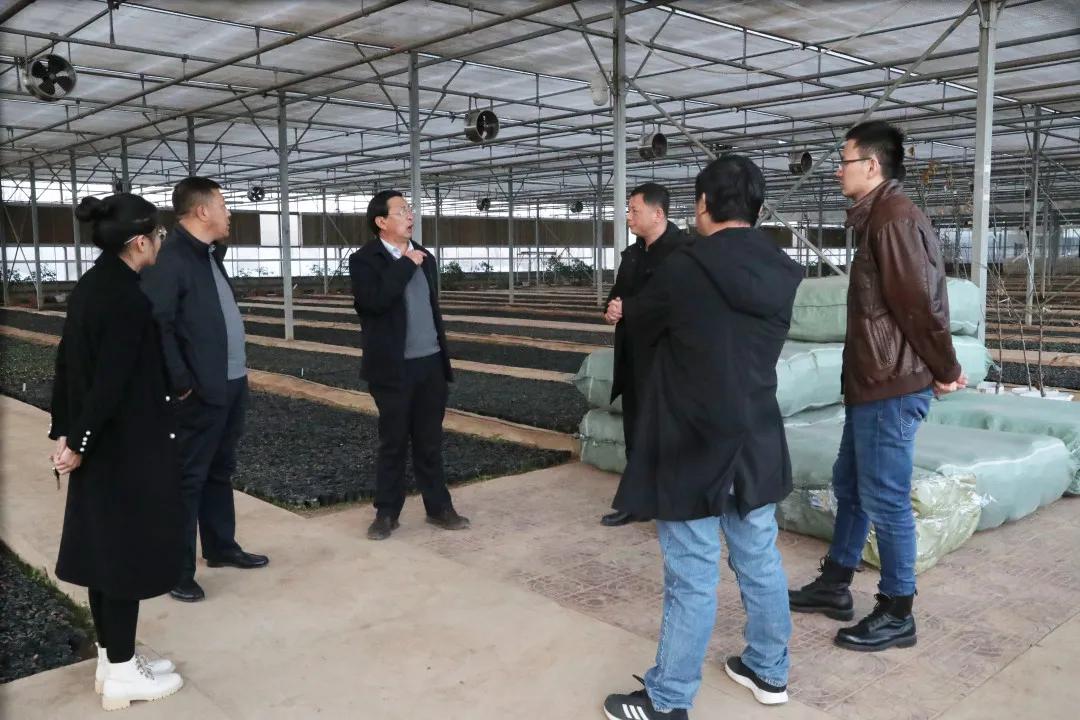 011630460596296675.jpeg 6.jpg