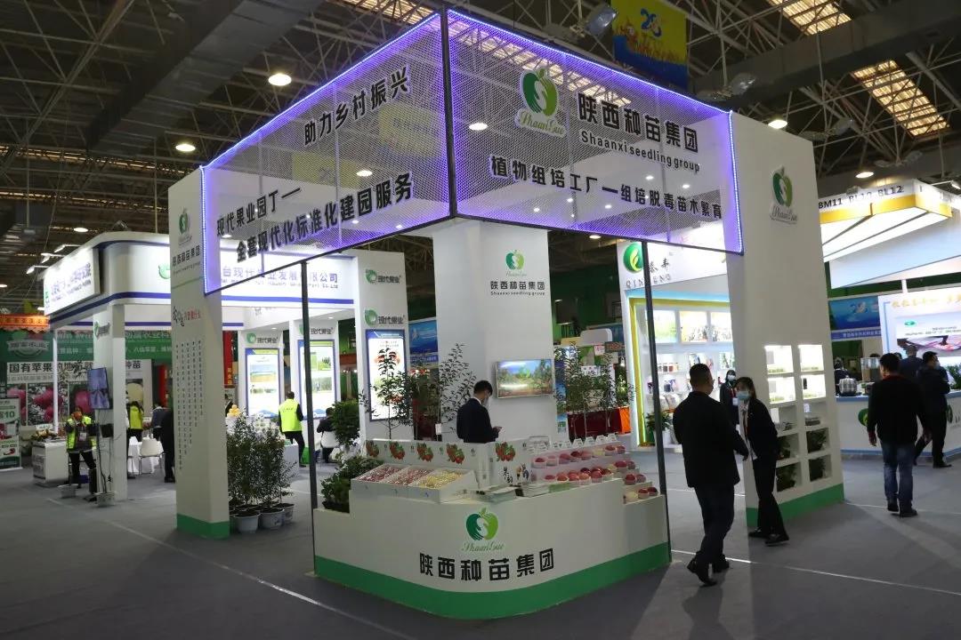 091636446959228558.jpeg 1.jpg