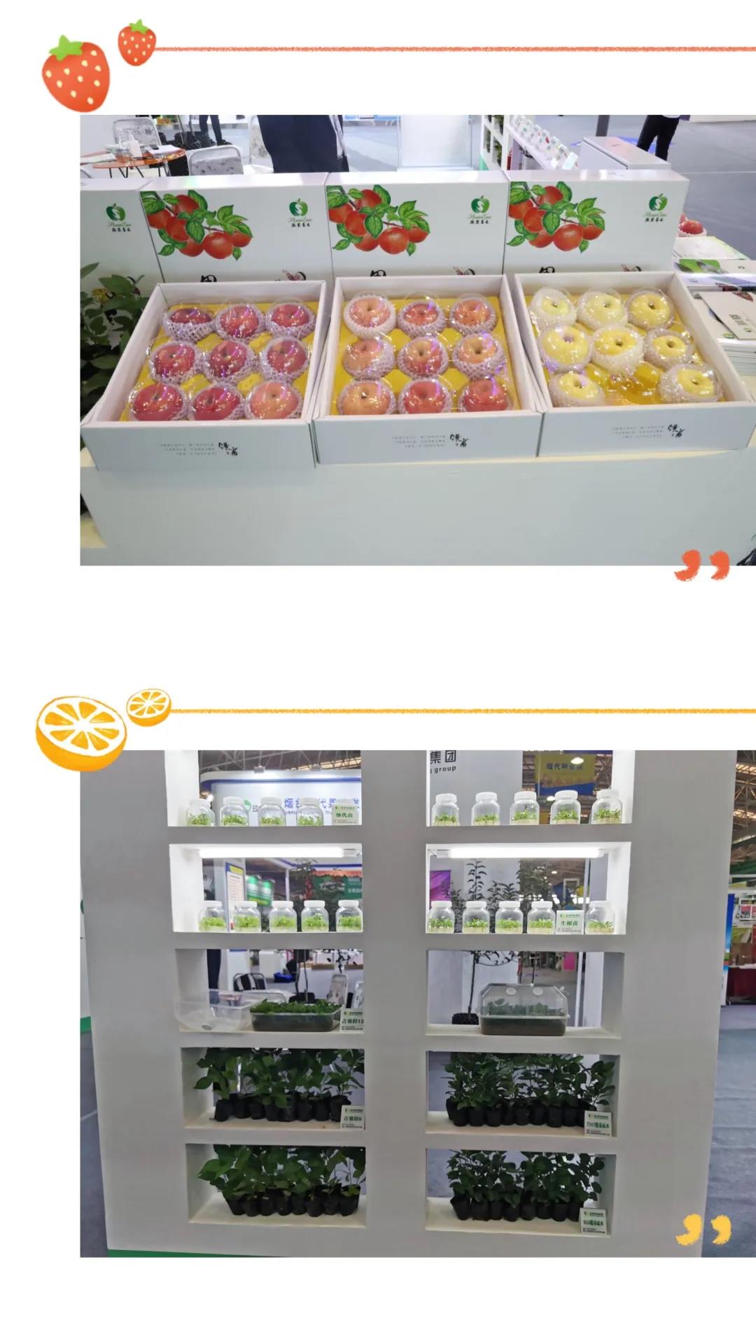 091636447066697117.jpeg 2.jpg